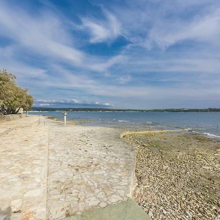Apartment Lion Novigrad Istria Esterno foto