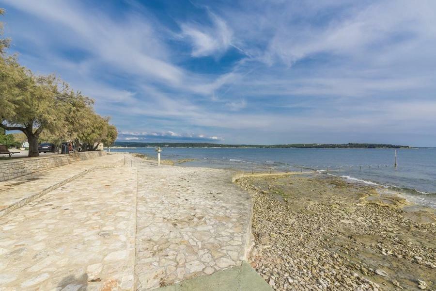 Apartment Lion Novigrad Istria Esterno foto