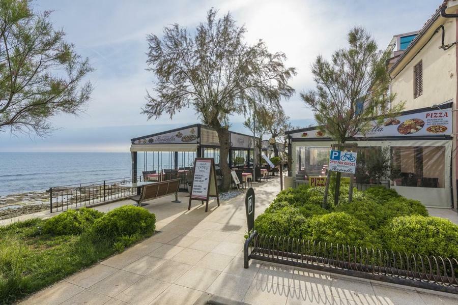 Apartment Lion Novigrad Istria Esterno foto
